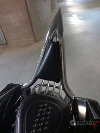 accessori Harley Davidson street glide 