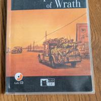 The Grapes of Wrath, John Steinbeck