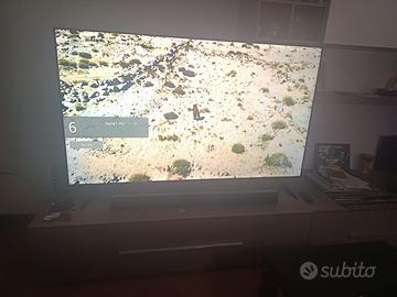TV lg 65 pollici