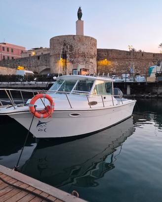 Fisherman Americano con fuoribordo Yamaha 250