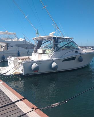 WELLCRAFT 360 del 2006