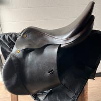 Appaloosa monta inglese