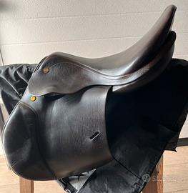 Appaloosa monta inglese