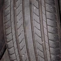 gomme estive