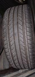 gomme estive