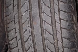 gomme estive