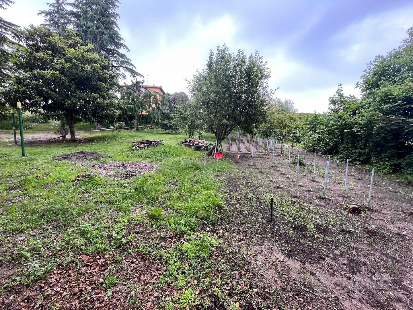 Terreno agricolo - Vista 5