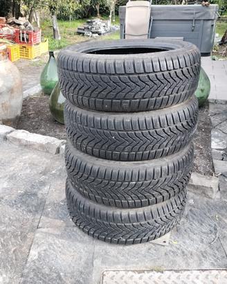 Gomme invernali Lassa 205/55 R17 - 95V