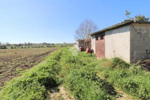 TER. AGRICOLO A ISOLA DI CAPO RIZZUTO