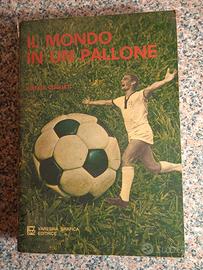 il mondo in un pallone