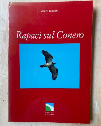 RAPACI SUL CONERO di Marco Borioni 1993