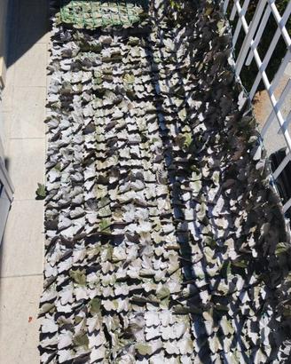 🌿 Rete Finta Edera per Balcone e Recinzioni