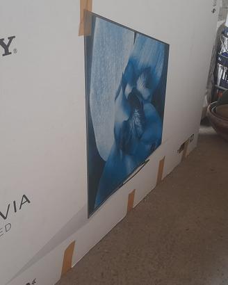 Televisore Sony Bravia OLED  4K  55 pollici