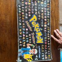 Pokemon master trainer