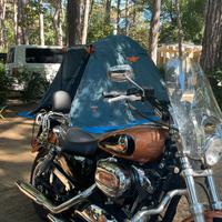 HARLEY DAVIDSON SPORTSTER 1200 105º anniversary