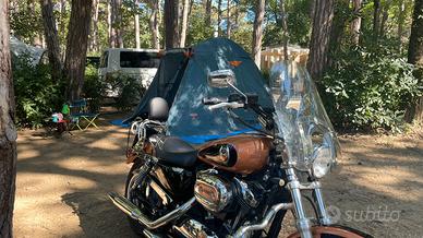 HARLEY DAVIDSON SPORTSTER 1200 105º anniversary