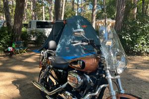 HARLEY DAVIDSON SPORTSTER 1200 105º anniversary