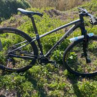 Focus Raven 29R