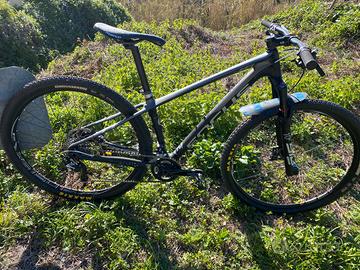 Focus Raven 29R