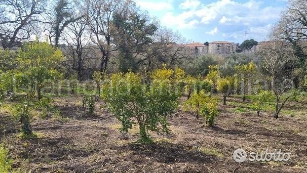 Terreno agricolo 14.000 mq a giarre - Altro