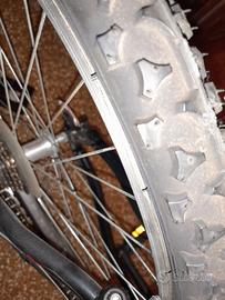 MTB OLMO OASi