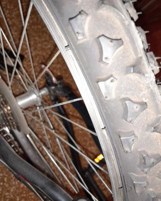 MTB OLMO OASi