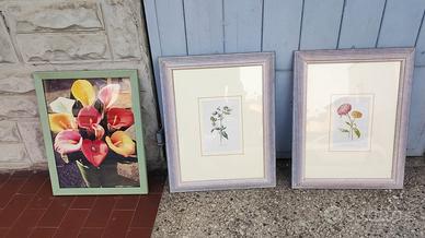 Set 3 quadri a tema floreale. Stampe e foto