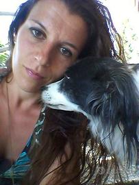 Lavoro con Animali