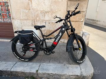 E-mtb