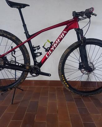 Mtb Olympia Iron 29