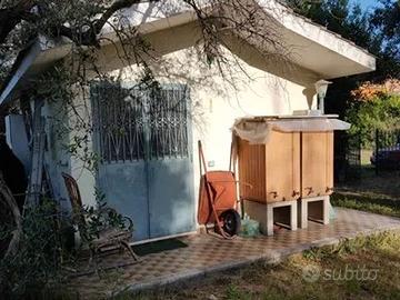 Piccolo manufatto in terreno edificabile