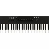 tastiera midi 61 tasti