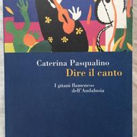 Dire il canto. I gitani flamencos dell'Andalusia