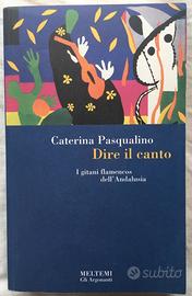 Dire il canto. I gitani flamencos dell'Andalusia