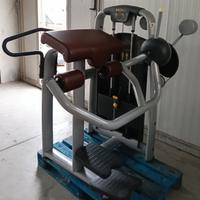 Technogym gluteus machine