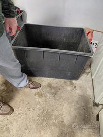 Vasca - bacinella per potature o oggetti