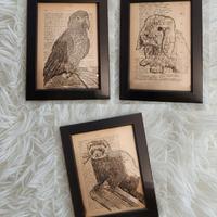 Quadri da personalizzare pappagallo coniglio