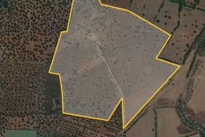 Terreno agricolo con uliveti intensivi con pozzo