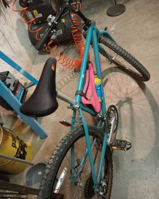 Bicicletta da donna