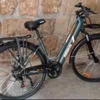 bicicletta elettrica 