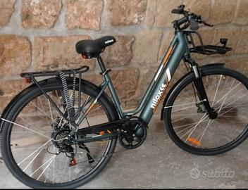 bicicletta elettrica 