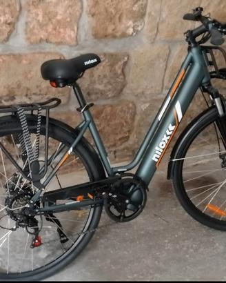 bicicletta elettrica 