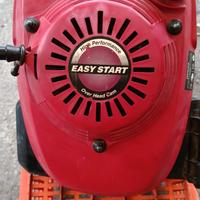 Motore Tagliaerba Honda 