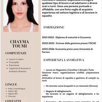 Pulizia lavapiatti aiuto cameriera