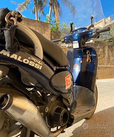 Scarabeo 50