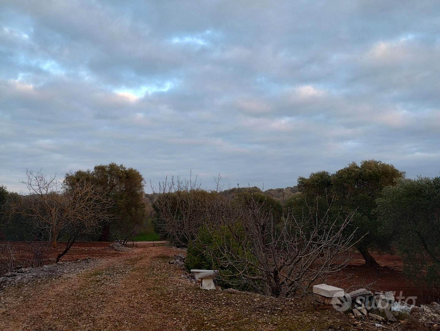 Trullo con terreno - Vista 5