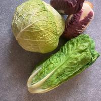 Oggetti da collezione per foto realistiche