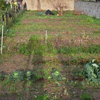 Terreno edificabile PREZZO RIBASSATO