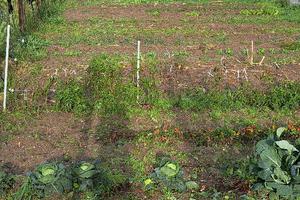 Terreno edificabile PREZZO RIBASSATO