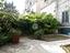 Immagine 7